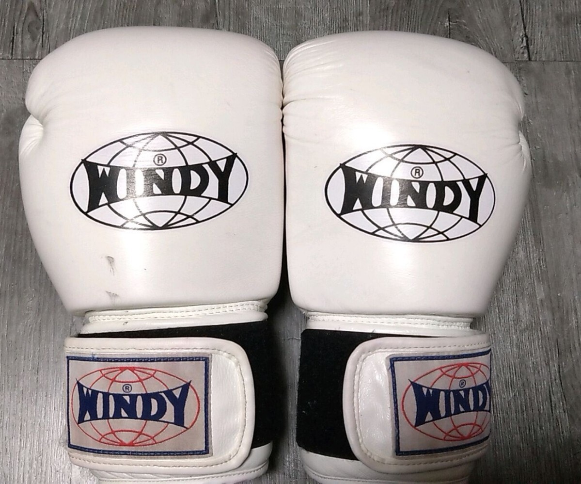 WINDY ボクシンググローブ　16オンス　ウィンディ_画像1