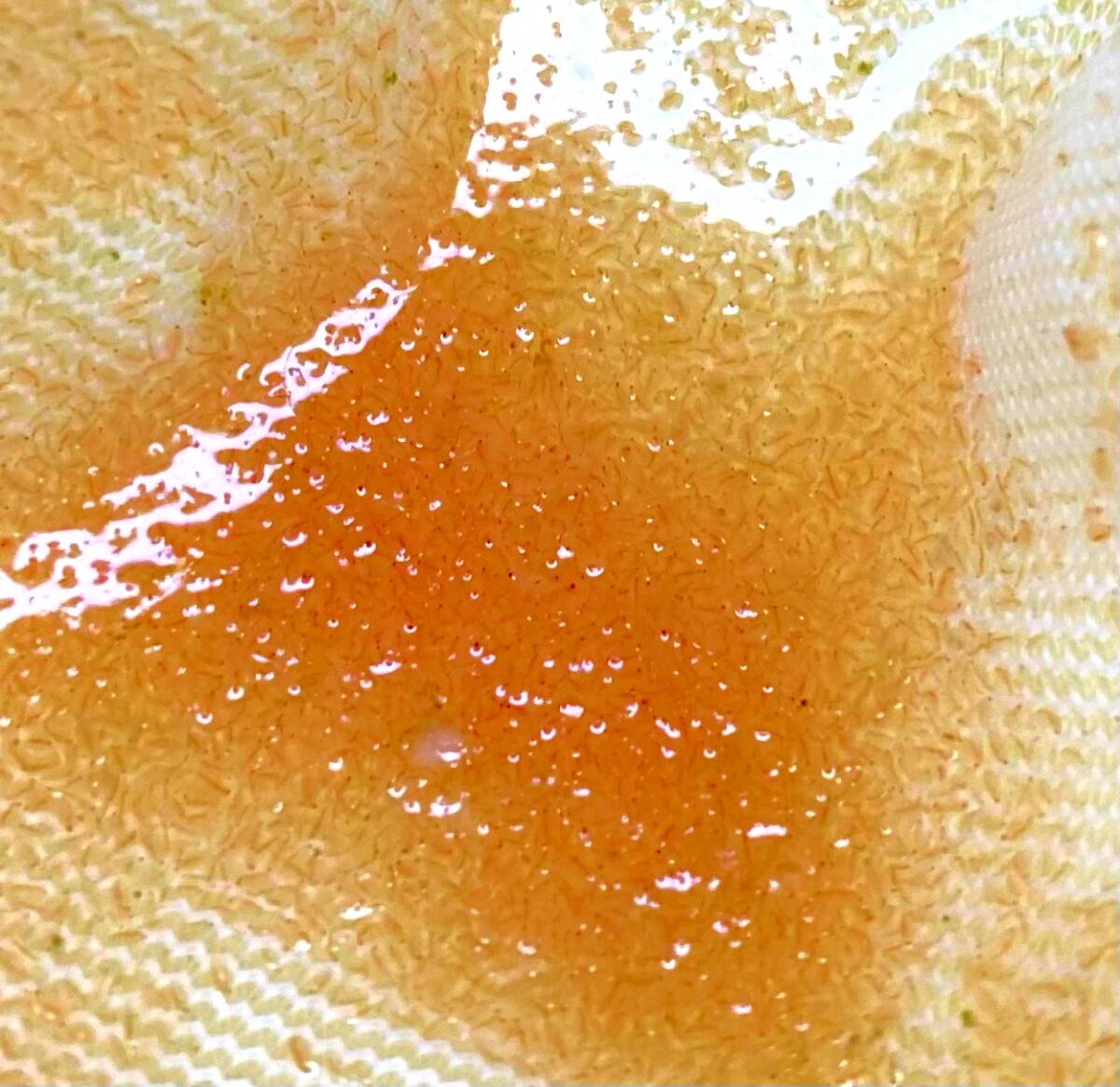  важный рыба тоже безопасность салон разведение перевозка белка k уменьшение oo mi Gin ko3g и больше производство яйцо ..me Dakar игла . золотая рыбка . рыба питание еда mi Gin ko