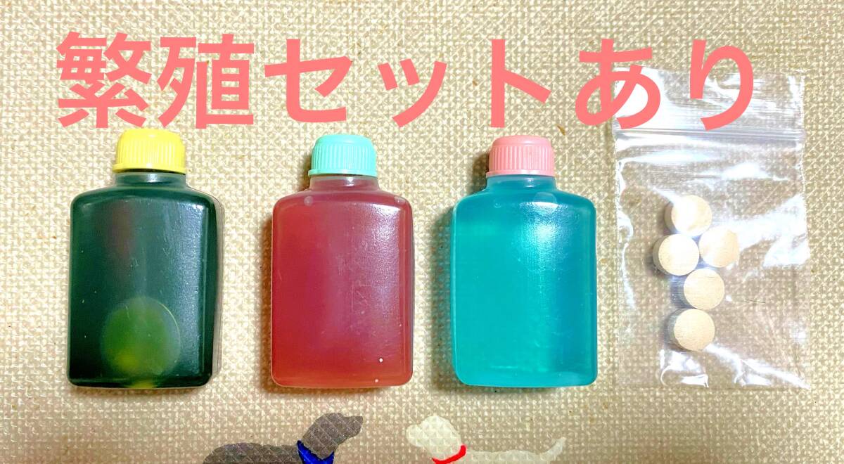  важный рыба тоже безопасность салон разведение перевозка белка k уменьшение oo mi Gin ko3g и больше производство яйцо ..me Dakar игла . золотая рыбка . рыба питание еда mi Gin ko