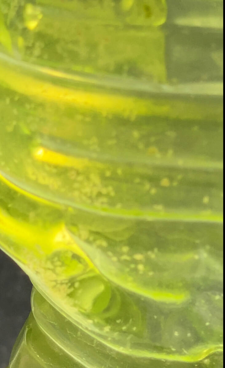  важный рыба тоже безопасность салон разведение перевозка белка k уменьшение oo mi Gin ko3g и больше производство яйцо ..me Dakar игла . золотая рыбка . рыба питание еда mi Gin ko