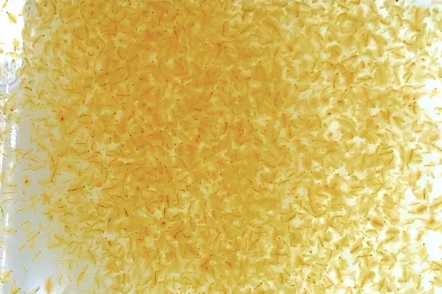  важный рыба тоже безопасность салон разведение перевозка белка k уменьшение oo mi Gin ko3g и больше производство яйцо ..me Dakar игла . золотая рыбка . рыба питание еда mi Gin ko