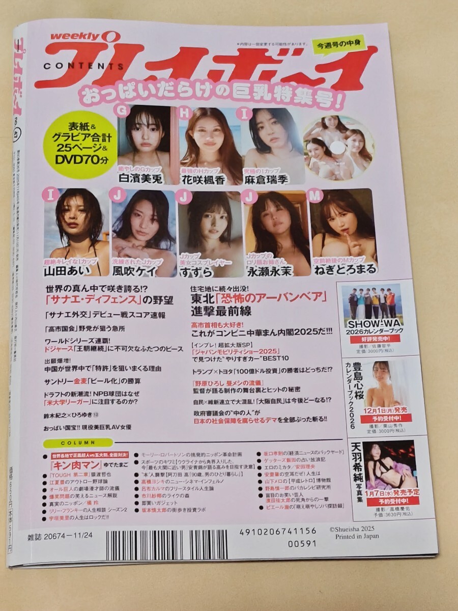 100円~★プレイボーイ 白濱美兎★花咲楓香★麻倉瑞季 DVD付き★山田あい★風吹ケイ★すずら★永瀬永茉★ねぎとろまる★他_画像2