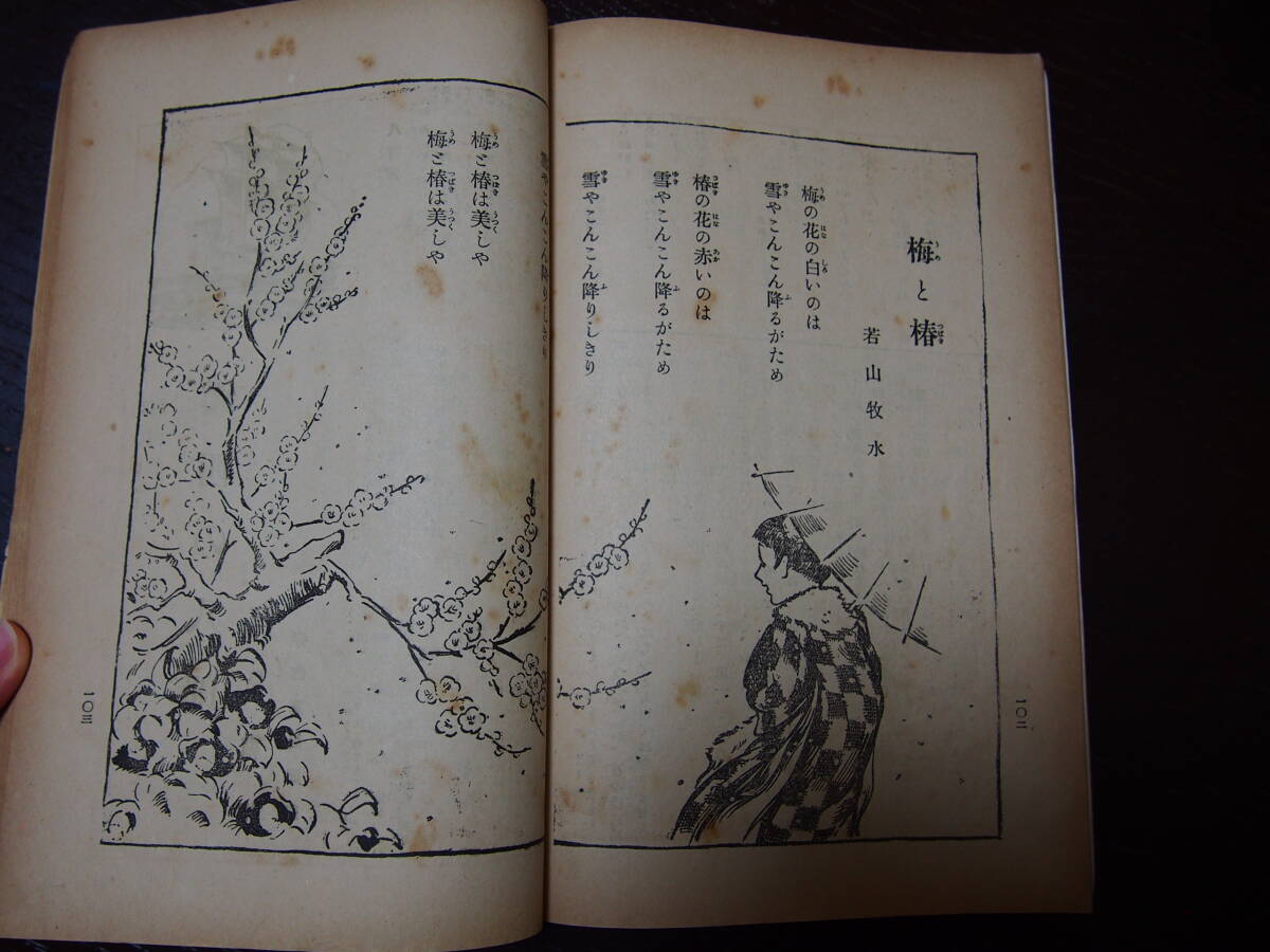 金の星　第8巻第3号　大正15年3月発行　金の星社　大正末児童書　児童雑誌　大正レトロ　レトロイラスト　寺内萬治郎　岡本帰一_画像9