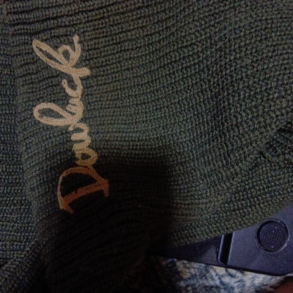 エヴィス道楽ニット帽子激レア品_画像8