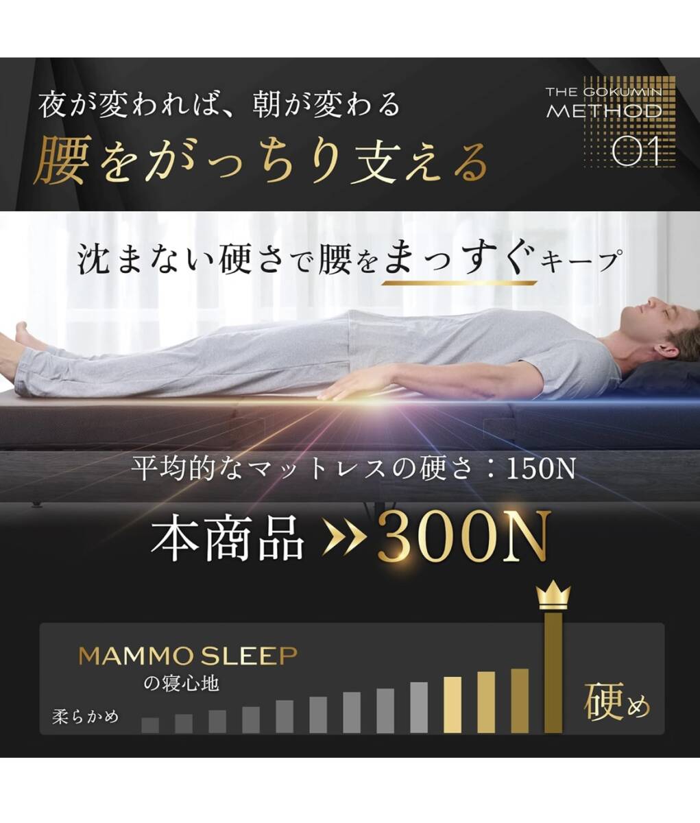 【新品未使用/送料無料】GOKUMIN マットレス シングル 厚さ10cm 70D 300N 折りたたみ 高反発 竹炭配合 抗菌防臭調湿G-MMS-T_画像3