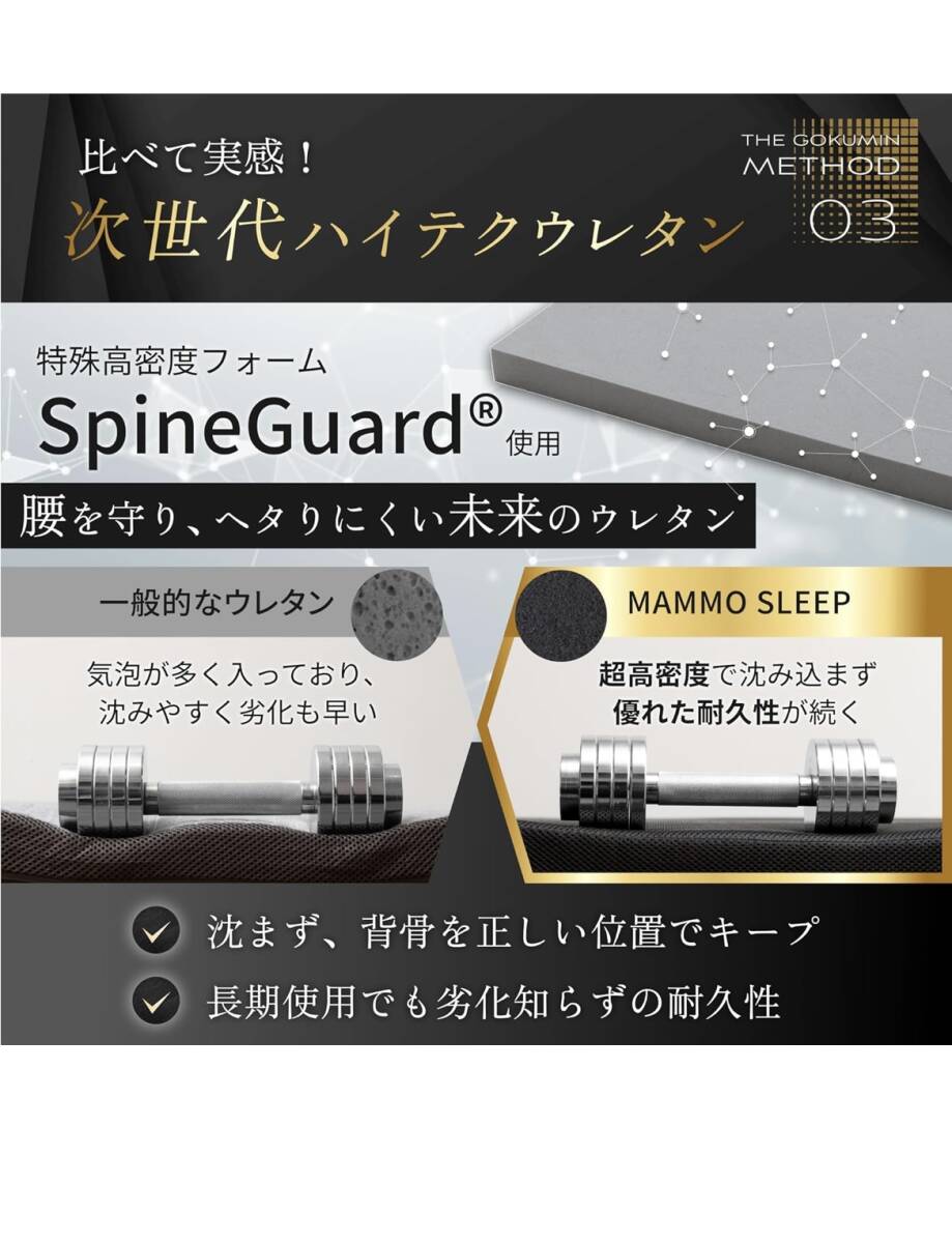 【新品未使用/送料無料】GOKUMIN マットレス シングル 厚さ5cm 70D 300N 高反発 竹炭配合 抗菌防臭調湿G-MMS-T_画像4