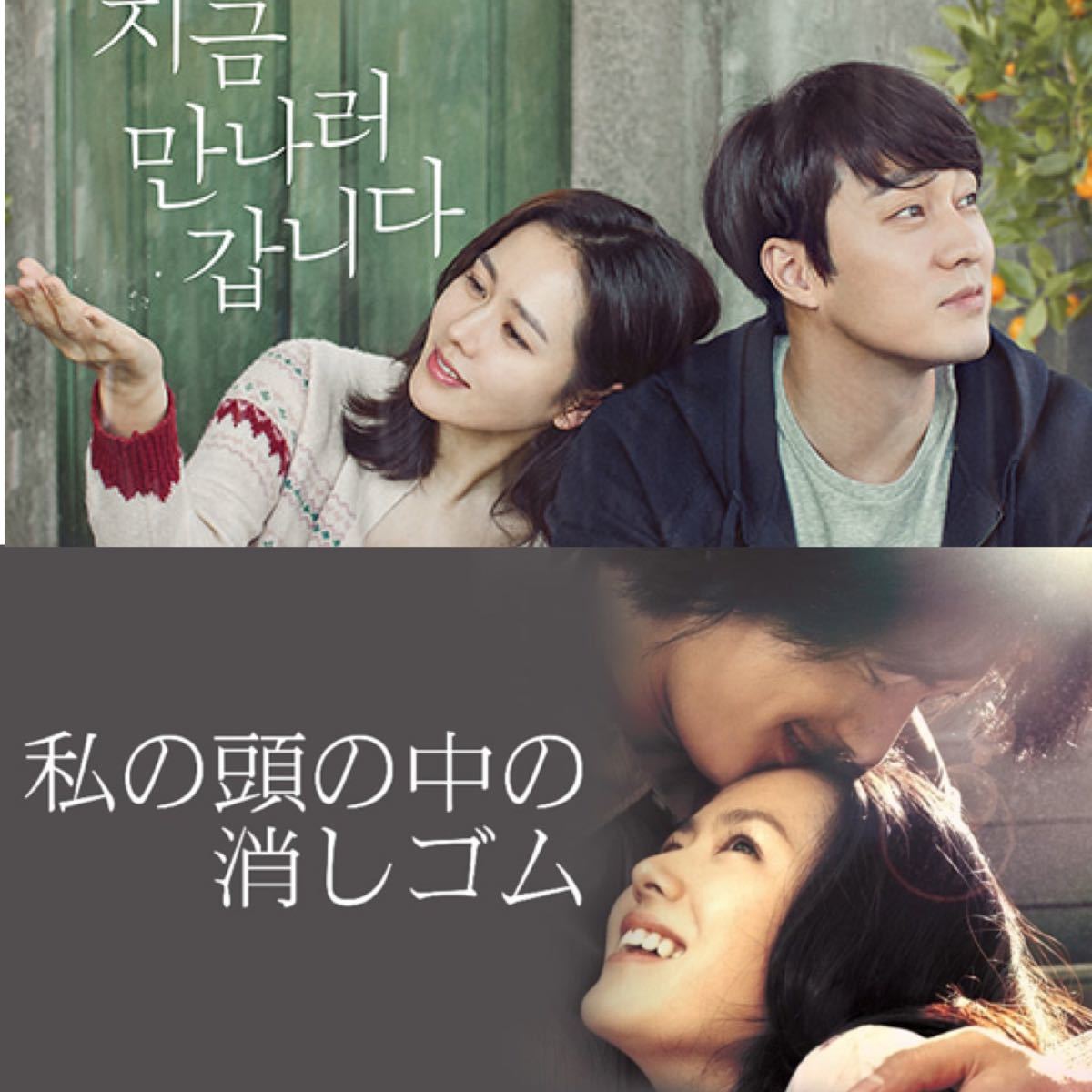 韓国映画 ソン・イェジン 出演映画 2点セット DVD 日本語吹替有り レーベル有り 入替可能