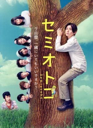 セミオトコ ＤＶＤ－ＢＯＸ／山田涼介,木南晴夏,今田美桜