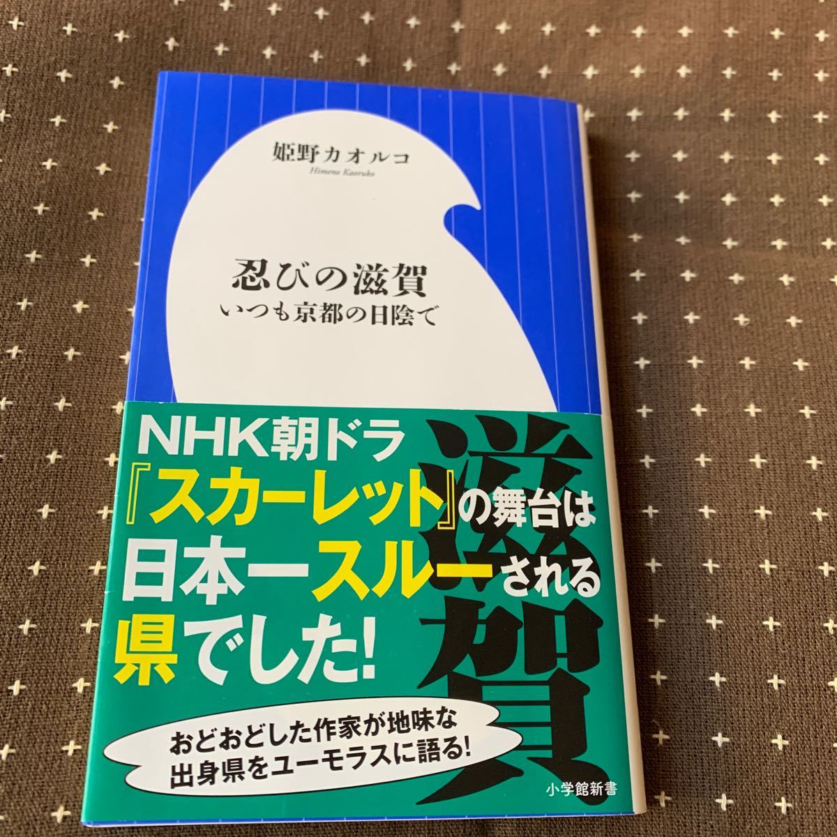 忍びの滋賀  いつも京都の日陰で