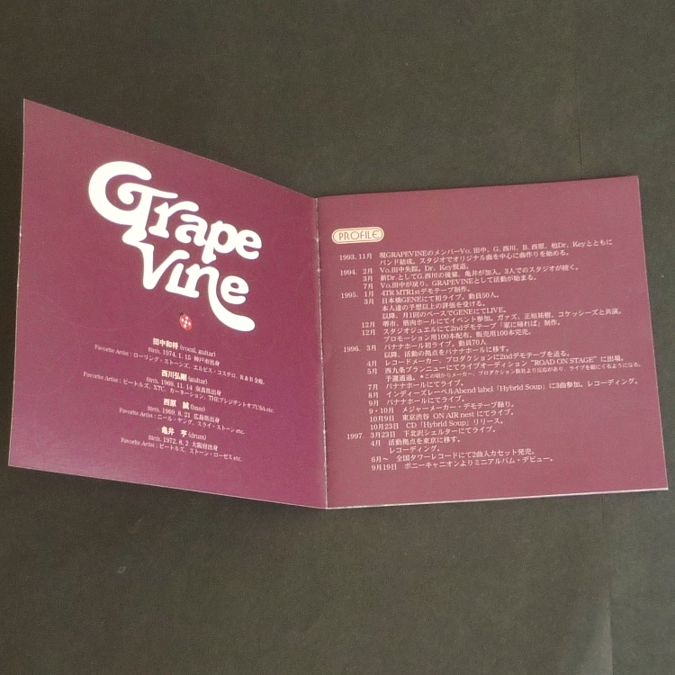 レア☆Grapevine 覚醒 サンプル盤 CD ジャケ写見本付き デビュー