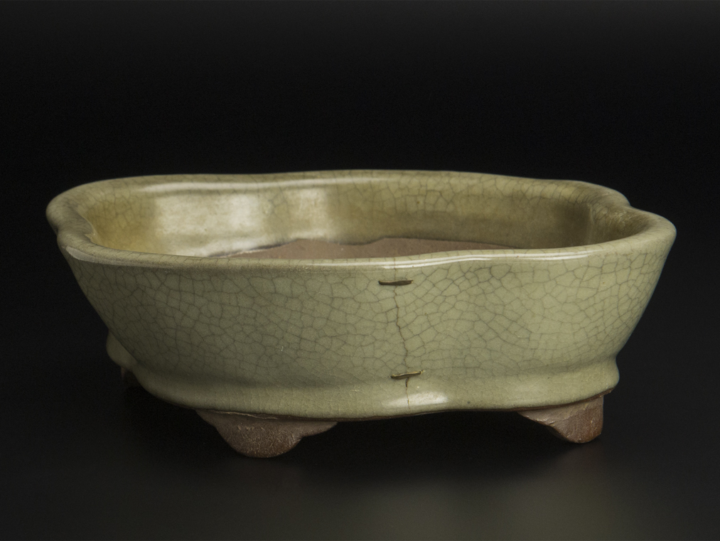  Song . обжиг в печи нарцисс поддон вместе коробка China старый изобразительное искусство 