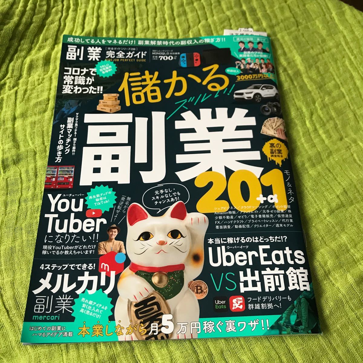 副業完全ガイド  副業解禁時代の副収入の稼ぎ方！