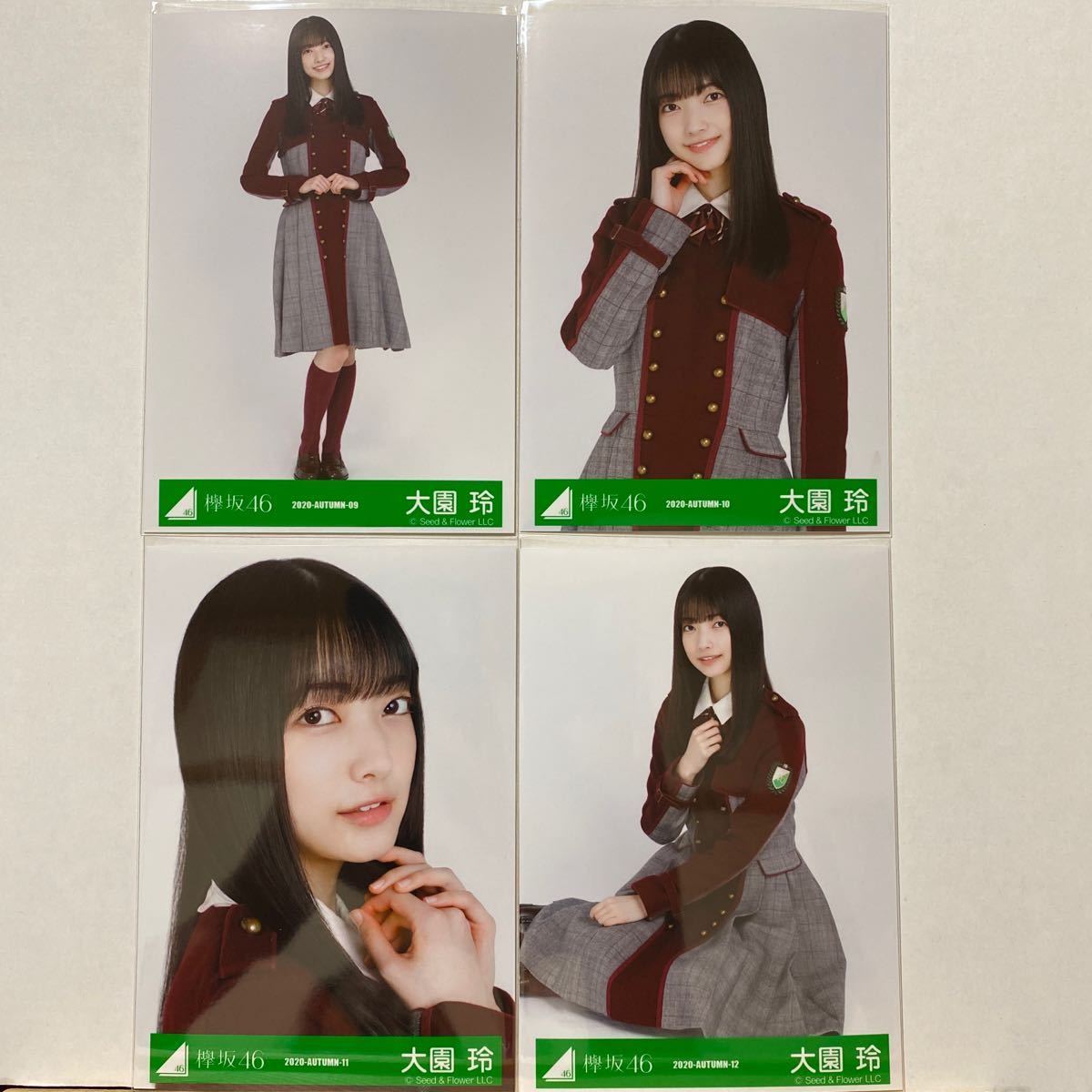 欅坂46 2期生二人セゾン衣装生写真大園玲4種コンプ 代購幫 欅坂46 2期生二人セゾン衣装生写真大園玲4種コンプ 代購幫
