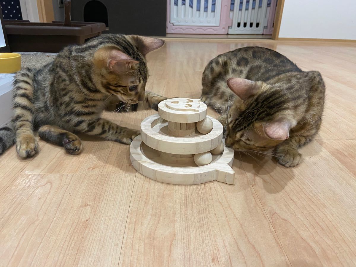 猫おもちゃ 遊ぶ盤  回転 ボール　運動不足 ストレス解消 木製 ナチュラル
