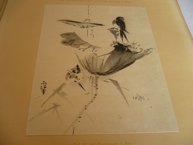 ☆日本の花鳥画☆Japanische Vogelstudien☆Japanese Bird ☆日本の花鳥画☆Japanische Vogelstudien☆Japanese Bird