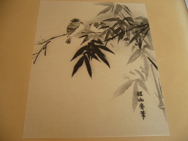 ☆日本の花鳥画☆Japanische Vogelstudien☆Japanese Bird ☆日本の花鳥画☆Japanische Vogelstudien☆Japanese Bird