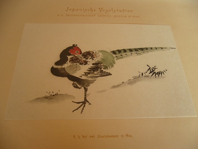 * японский цветы и птицы .*Japanische Vogelstudien*Japanese Bird Studies*1895 год * наклеен map версия 12 листов 