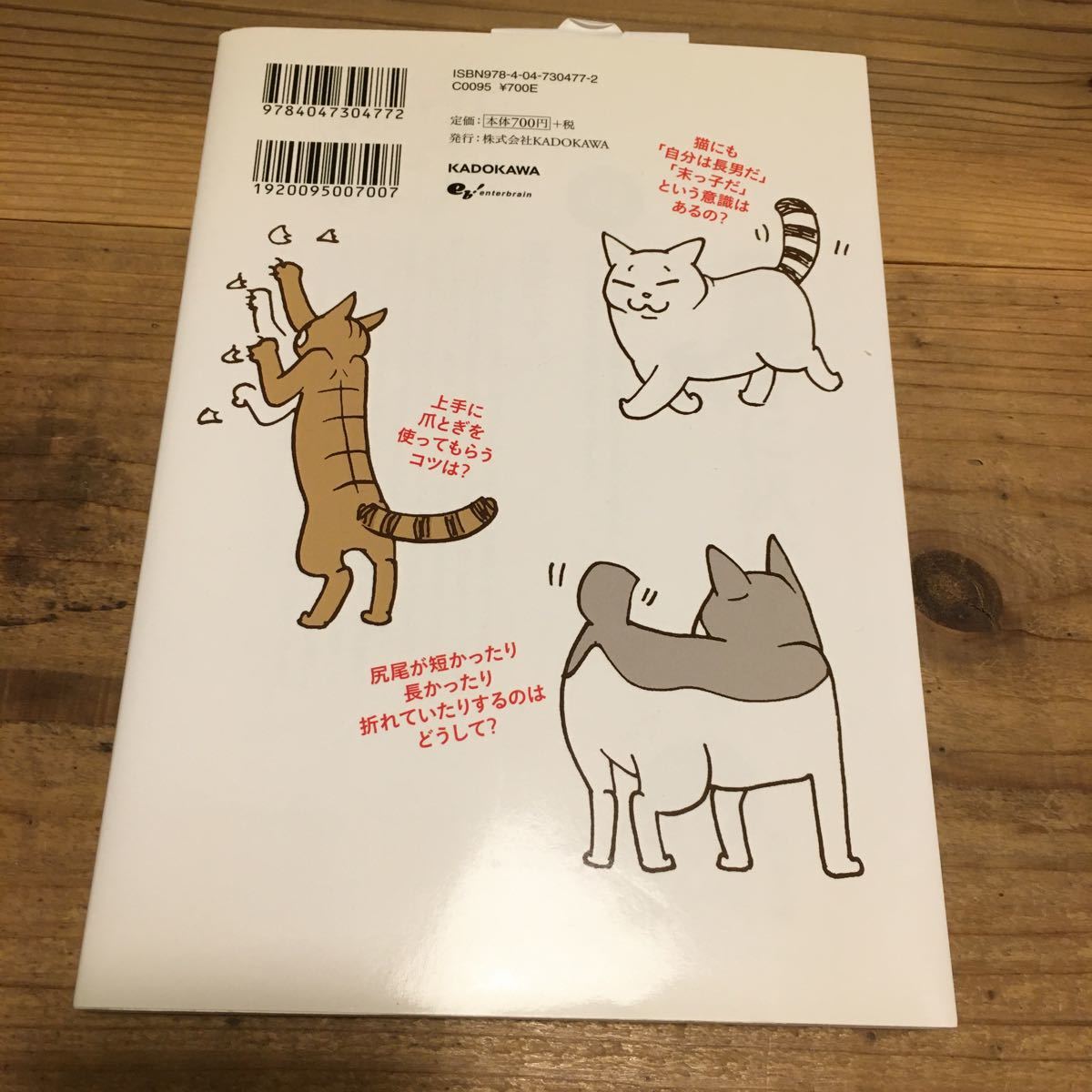 Paypayフリマ 猫医者に訊け Paypayフリマ 猫医者に訊け