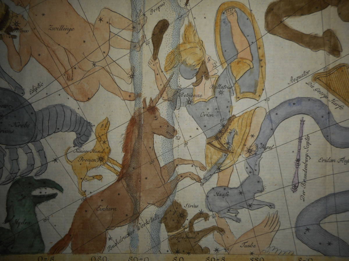 アンティーク、天球図、天文、星座早見盤、星座図絵1778年『ボーデの星図1月= アンティーク、天球図、天文、星座早見盤、星座図絵1778年『ボーデの星図1月=