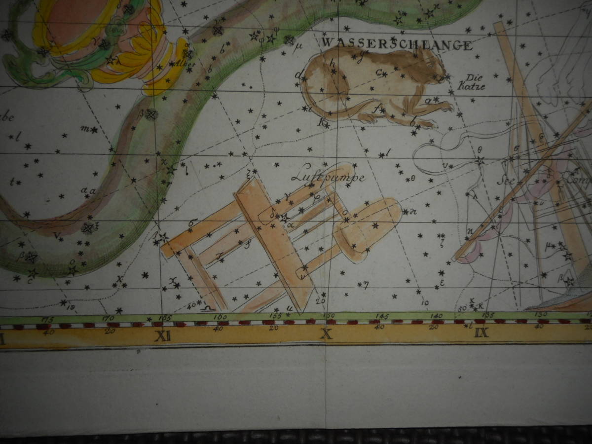 アンティーク、天球図、天文、星座早見盤、星座図絵1805年『ボーデの星図』海蛇座、コップ座、猫座Star map, Planisphere,Celestial atlas - 天文、宇宙 アンティーク、天球図、天文、星座早見盤、星座図絵1805年『ボーデの星図』海蛇座、コップ座、猫座Star map, Planisphere,Celestial atlas - 天文、宇宙