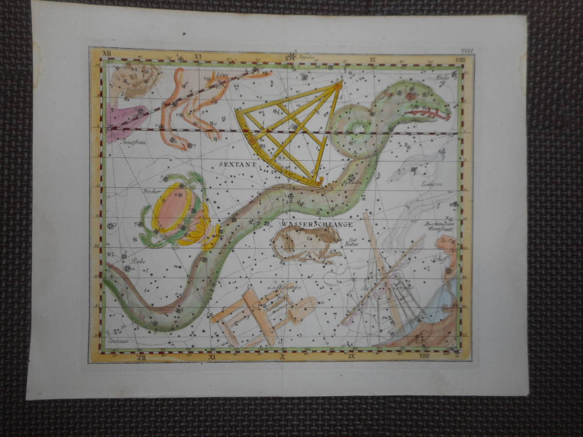 アンティーク、天球図、天文、星座早見盤、星座図絵1805年『ボーデの星図』海蛇座、コップ座、猫座Star map, Planisphere,Celestial atlas