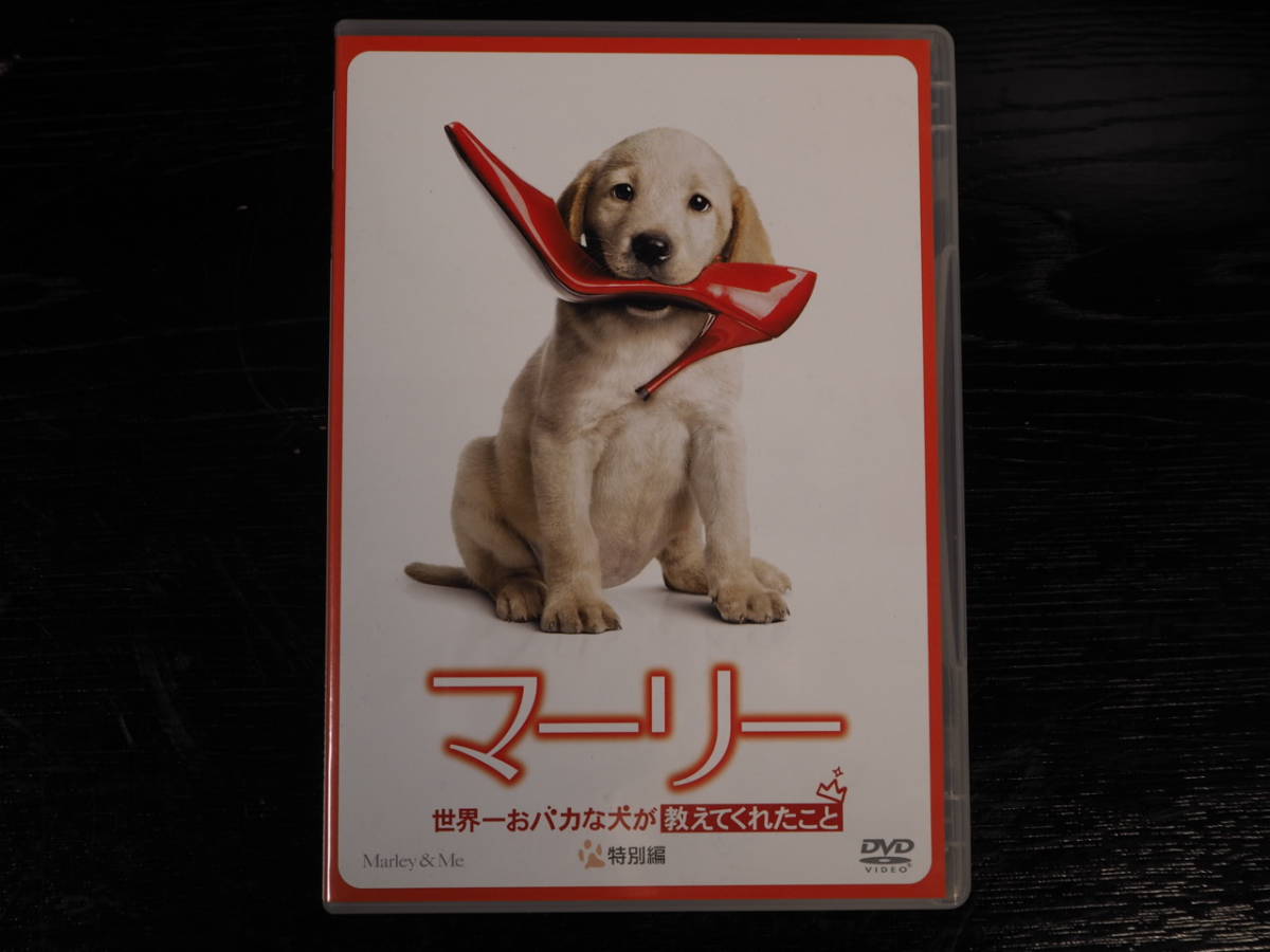 DVD　マーリー 世界一おバカな犬が教えてくれたこと _画像1