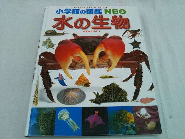 水の生物 小学館の図鑑NEO_画像1