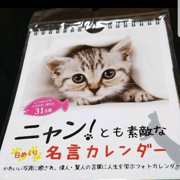 Paypayフリマ ニャン とも素敵な名言カレンダー日めくりタイプ