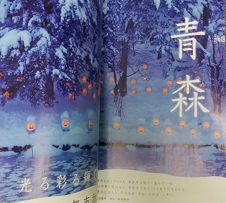  Japan Air Lines JAL in-flight magazine SKYWARD Sky word 2020.11 sea empty forest ... Okinawa meat .. heaven udon emma Aomori storm ARASHI