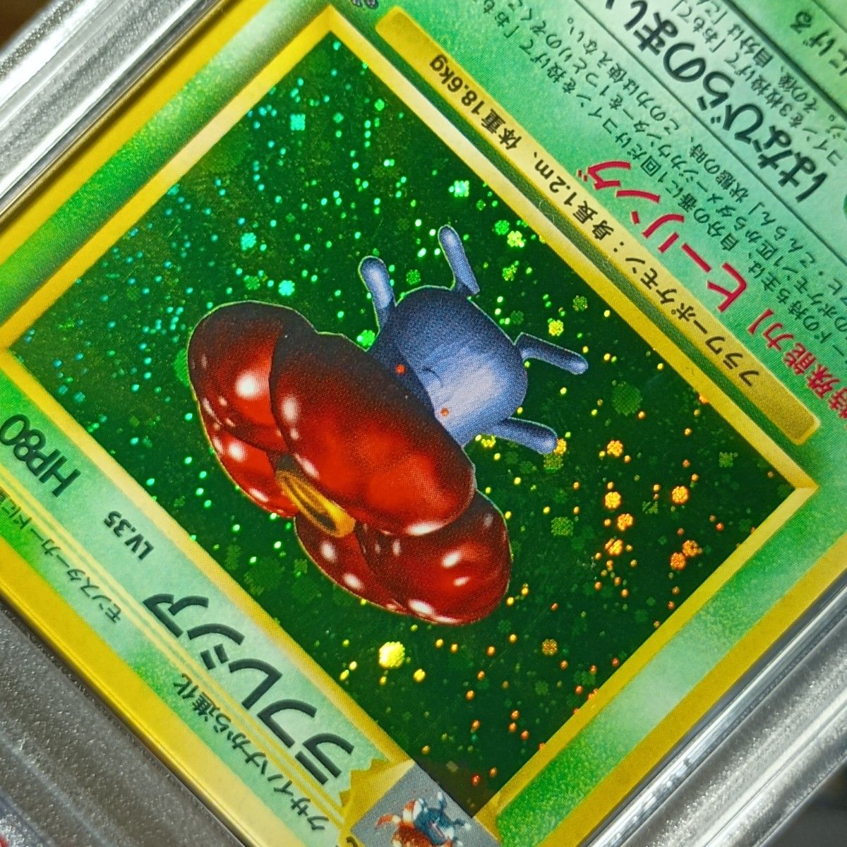 PSA9】 フーディン ピジョット バリヤード ラフレシア 旧裏 旧裏面 