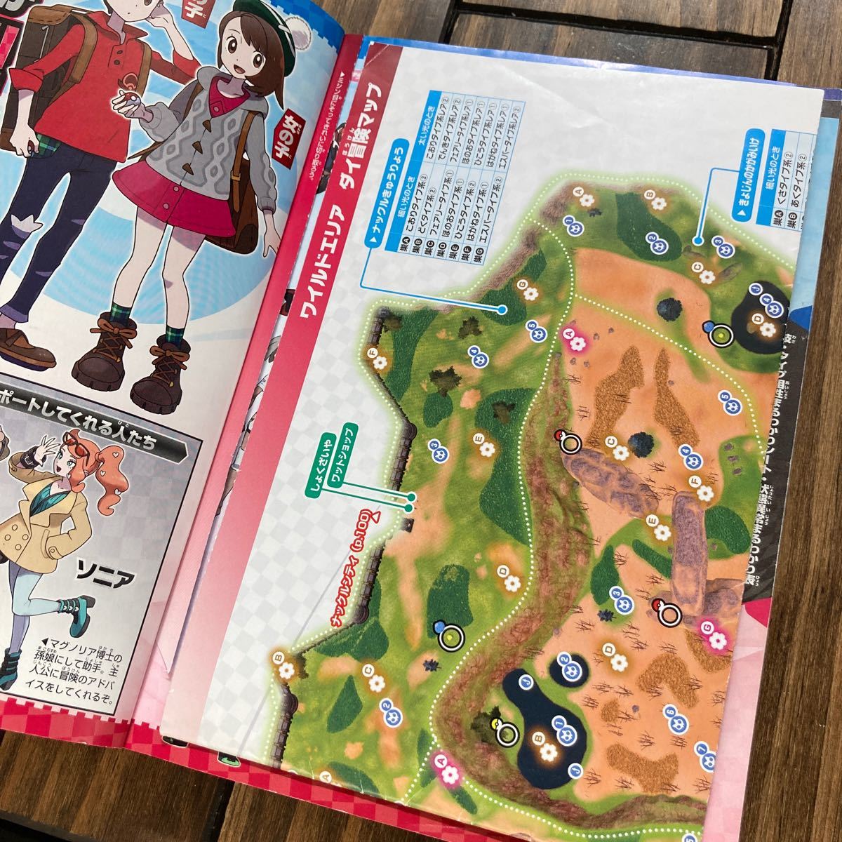 Paypayフリマ ポケットモンスターソード シールド最速ダイ攻略ガイド ポケモン 本 Paypayフリマ ポケットモンスターソード シールド最速ダイ攻略ガイド ポケモン 本