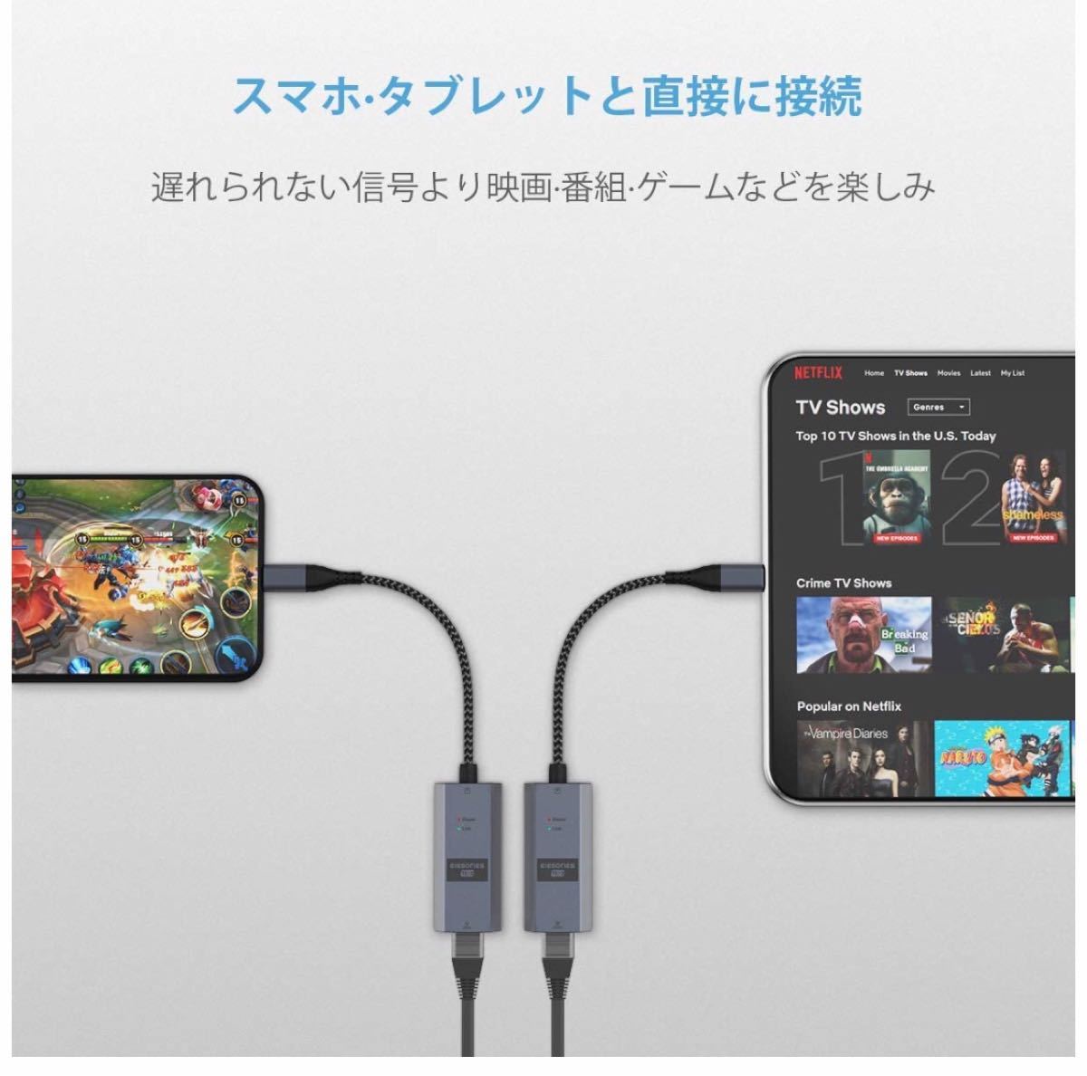 USB C 有線lanアダプター USB LAN 変換 アダプタ 