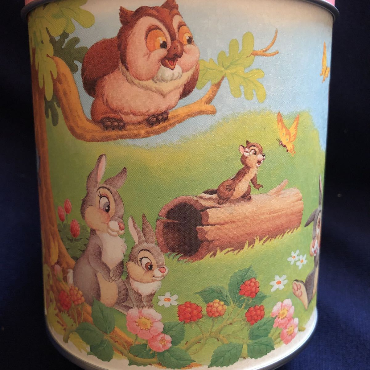 * rare * Disney Bambi Tokyo Disney resort empty can 