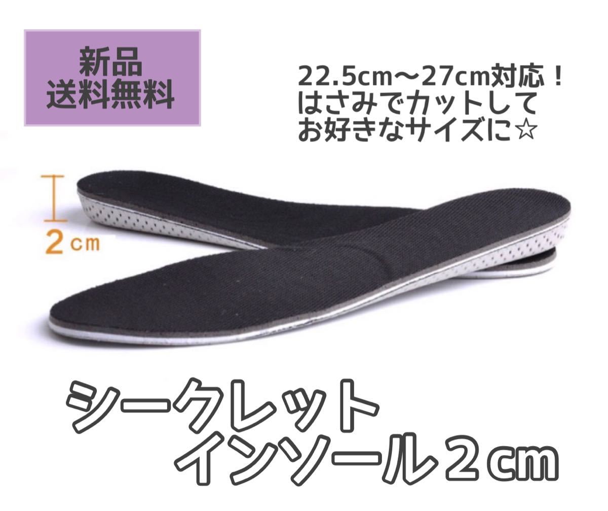 シークレットインソール 2cm 男女兼用 両足分 抗菌 防臭 低反発