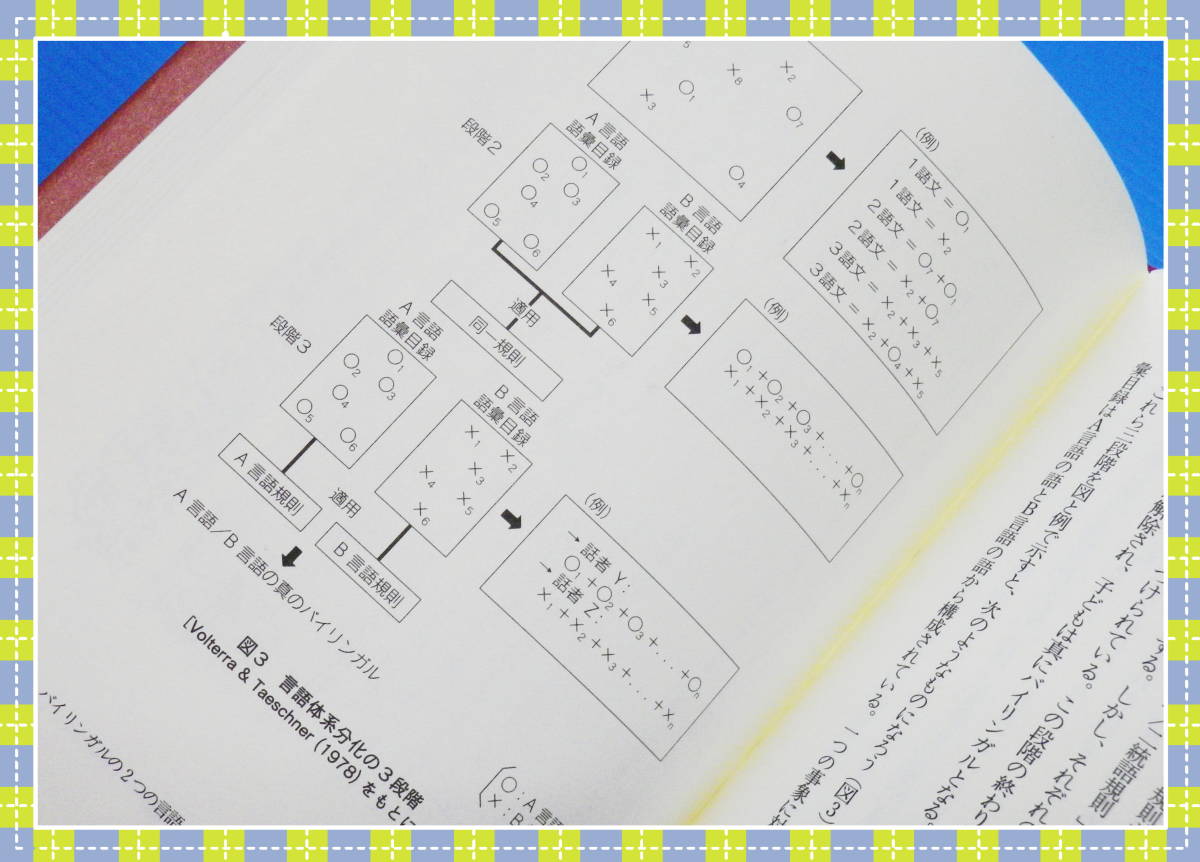 ●バイリンガルはどのようにして言語を習得するのか c30_画像7