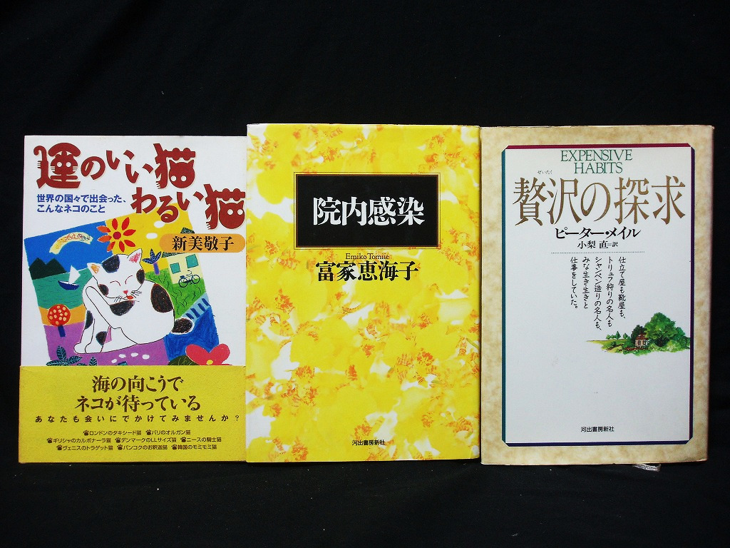 運のいい猫わるい猫 世界の国々で出会った こんなネコのこと 大和出版 運のいい猫わるい猫 世界の国々で出会った こんなネコのこと 大和出版