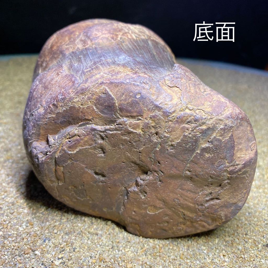 恐竜の卵? 鉄丸石? ノジュール 化石 鑑賞石 恐竜の卵? 鉄丸石? ノジュール 化石 鑑賞石