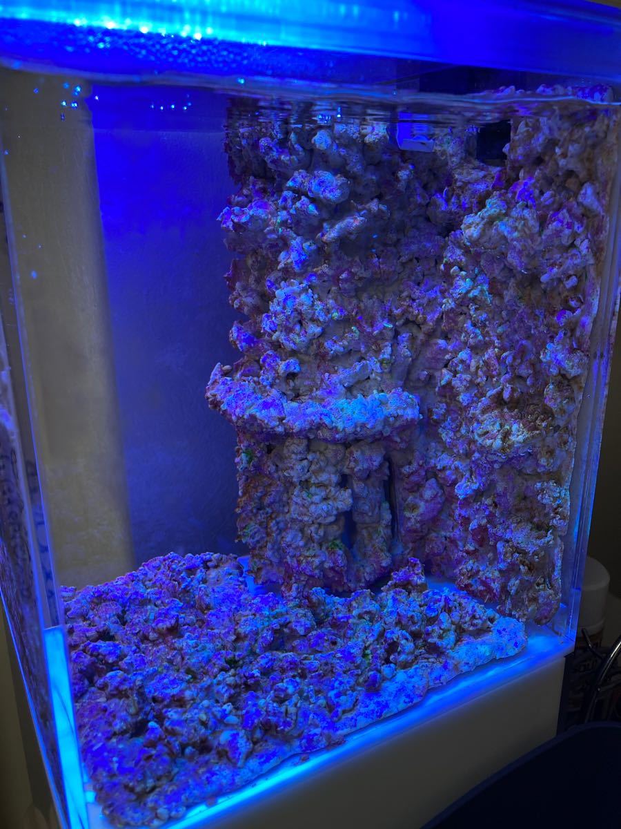 人工ライブロック バックウォール 擬岩 海水魚 クロスミニ 多孔 人工ライブロック バックウォール 擬岩 海水魚 クロスミニ 多孔