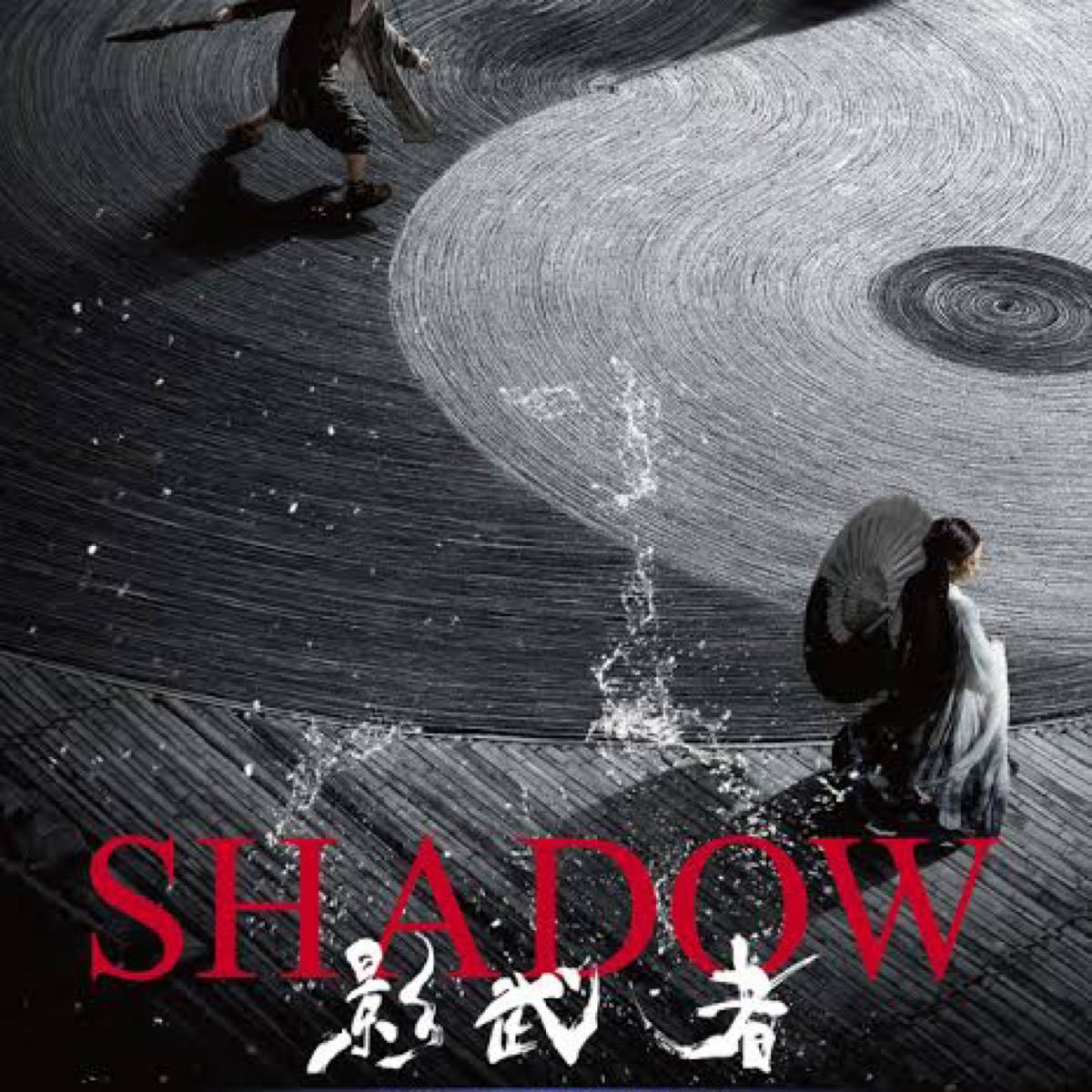 中国映画　ＳＨＡＤＯＷ影武者