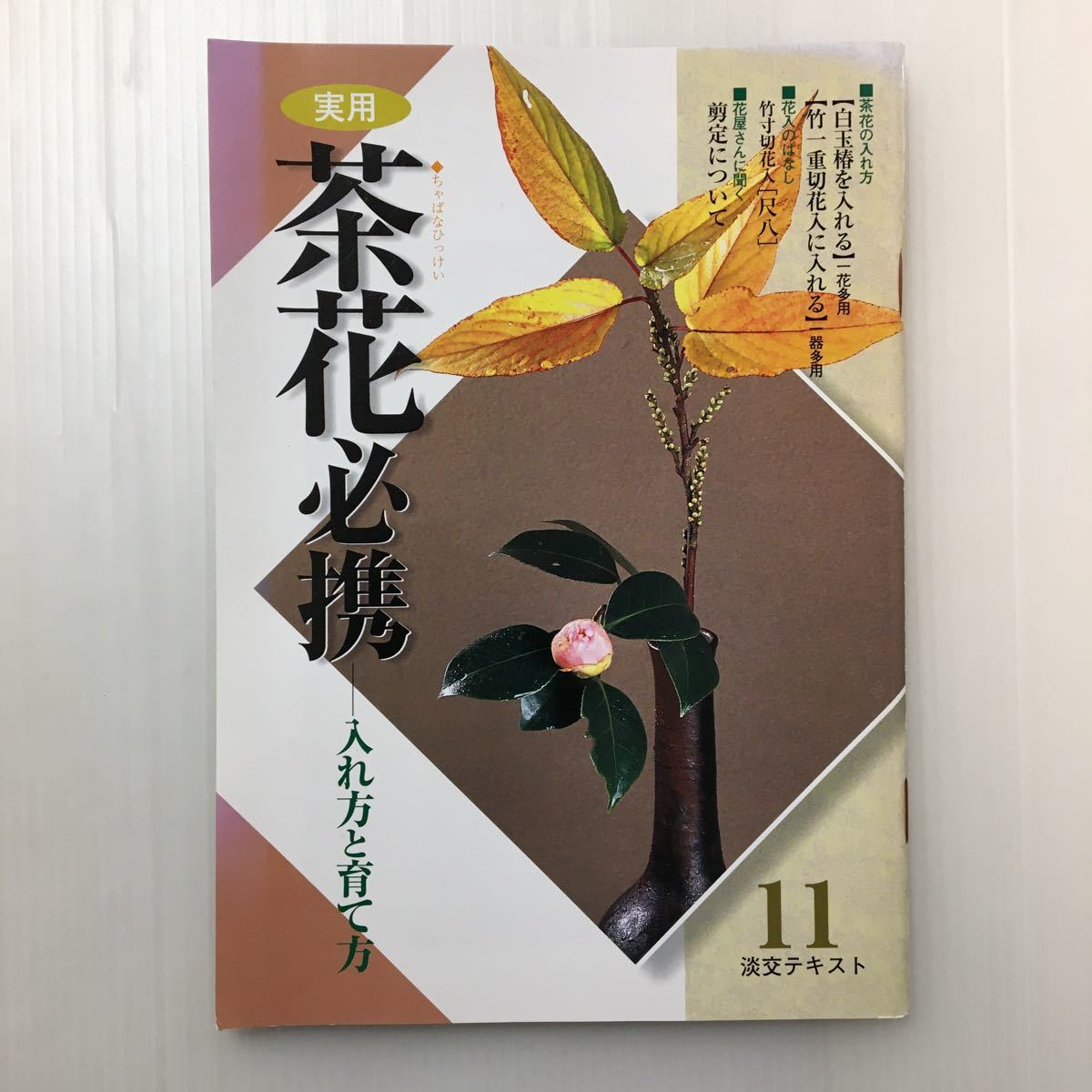 zaa-092♪茶花〈11〉―季節の花を入れる (淡交テキスト) 単行本 2012/10/25 淡交社編集局 (編集)