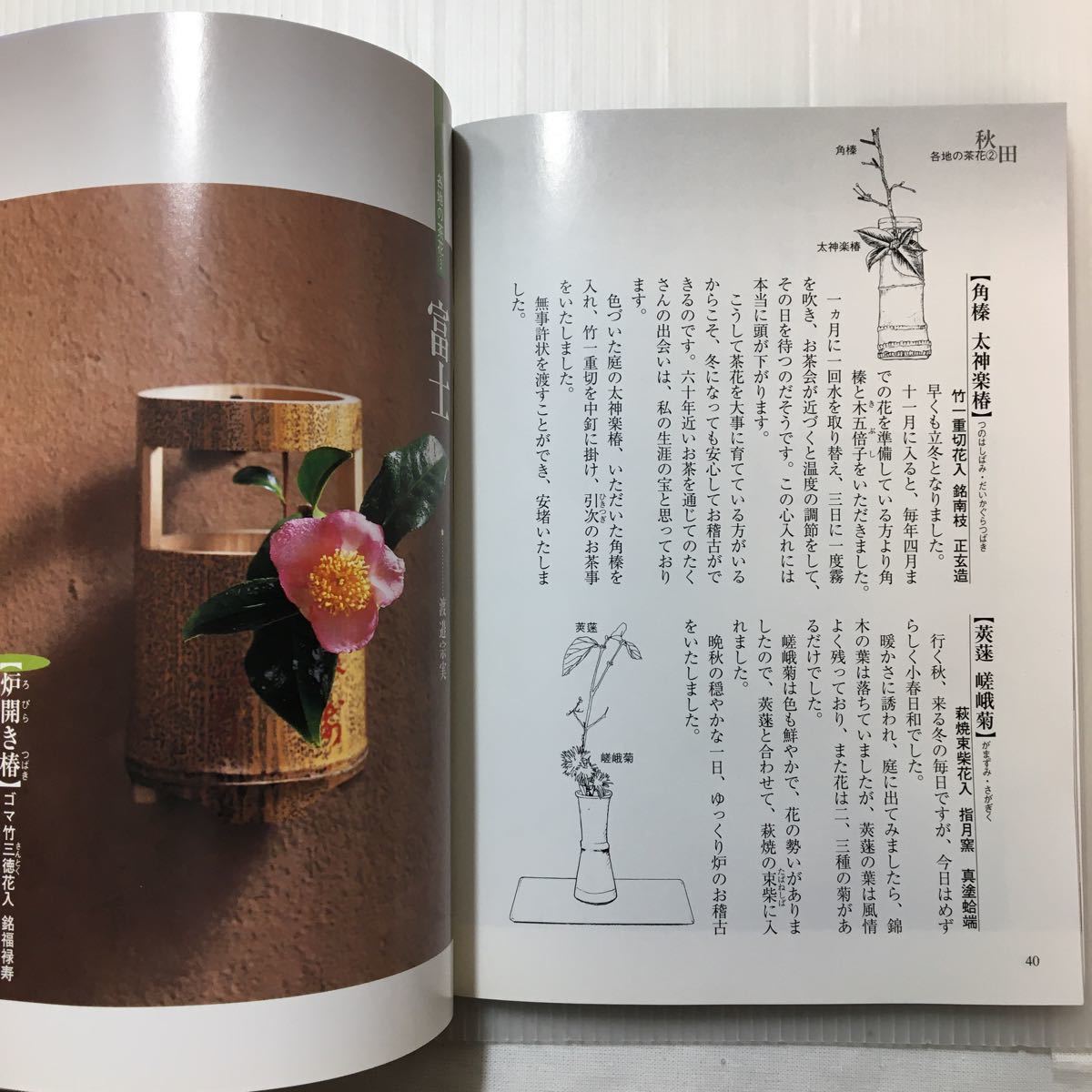 zaa-092 茶花〈11〉―季節の花を入れる (淡交テキスト) 単行本 2012/10