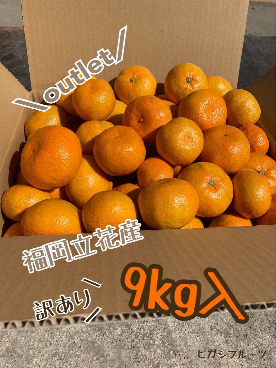 Paypayフリマ 訳あり みかん 9kg 福岡立花産 産地直送 Paypayフリマ 訳あり みかん 9kg 福岡立花産 産地直送