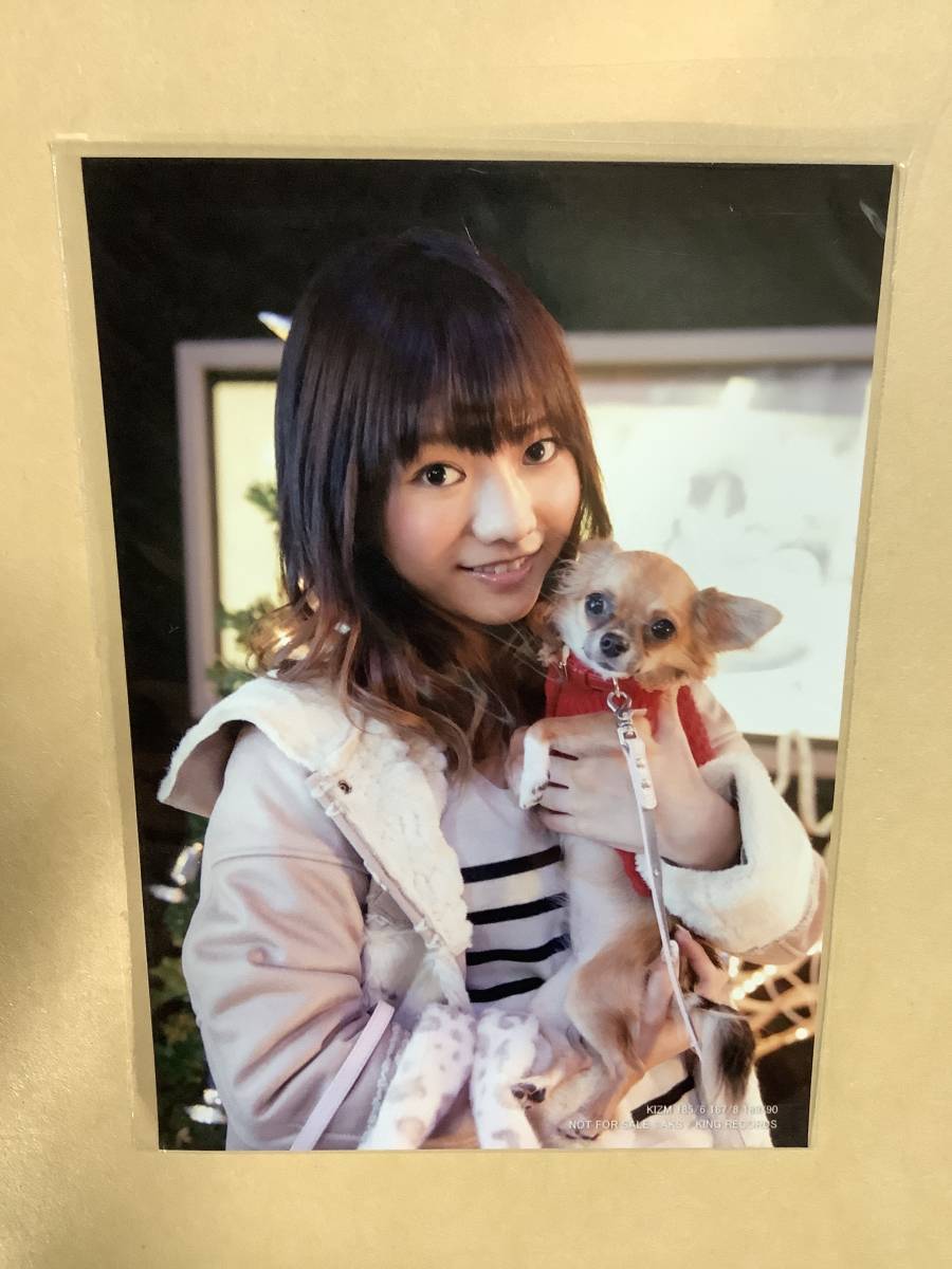 送料無料 生写真2枚付き　AKB48「永遠プレッシャー」2枚組 CD＋DVD タイプC_画像9