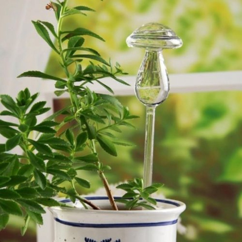 ヤフオク 大特価 1円 ガラス 植物 花 給水器 自動 自己