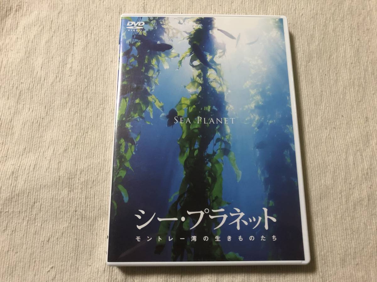 DVD　　『SEA PLANET　シー・プラネット　モントレー湾の生きものたち』　　 WAC-D589_画像1