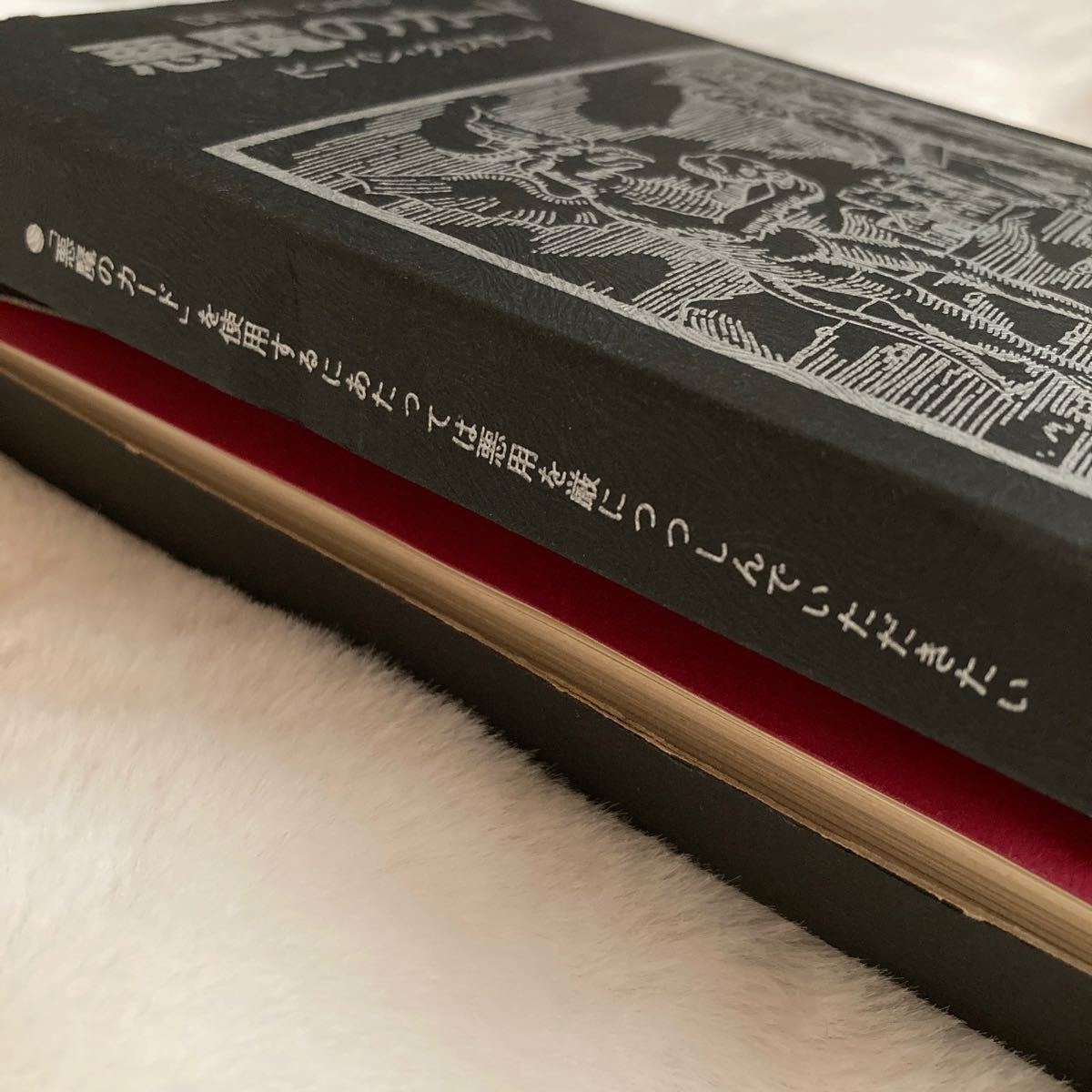 希少 絶版 悪魔のカード タロットカード ビーバン・クリスチーナ