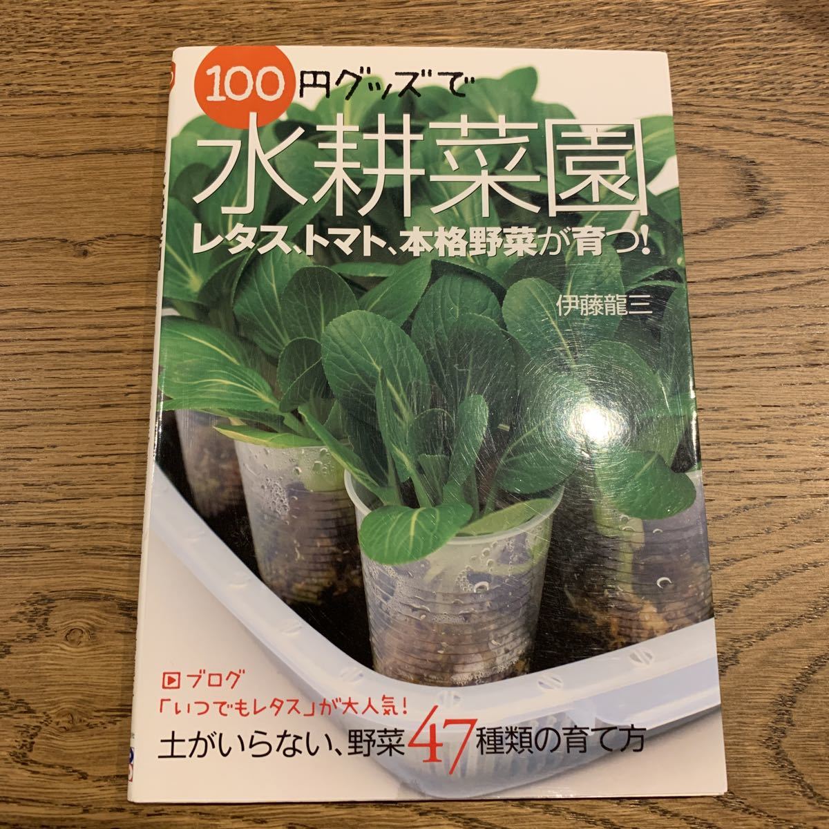 100円グッズで水耕菜園　中古　送料無料_画像1