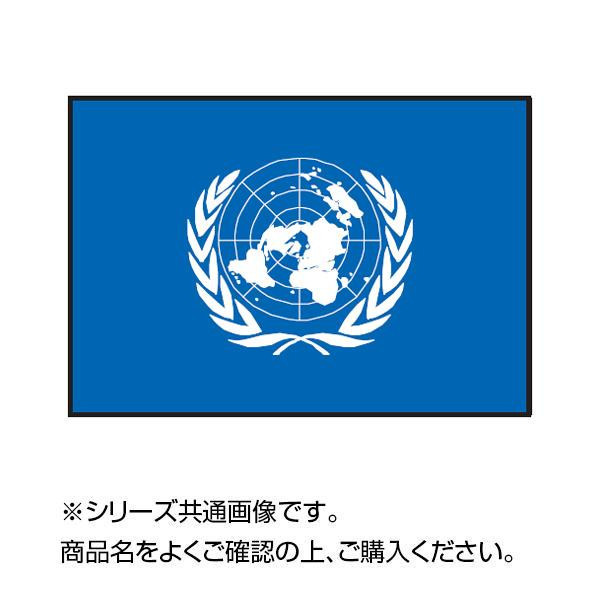世界の国旗 万国旗 国連 140×210cm(a-1529655)