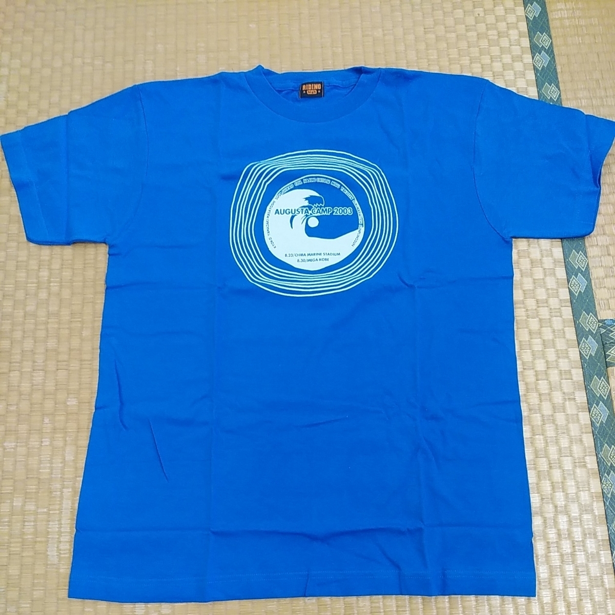  not yet have on Augusta camp 2003 DVD privilege T-shirt apricot Yamazaki Masayoshi Suga Shikao coil Hajime Chitose ... Sukima Switch 