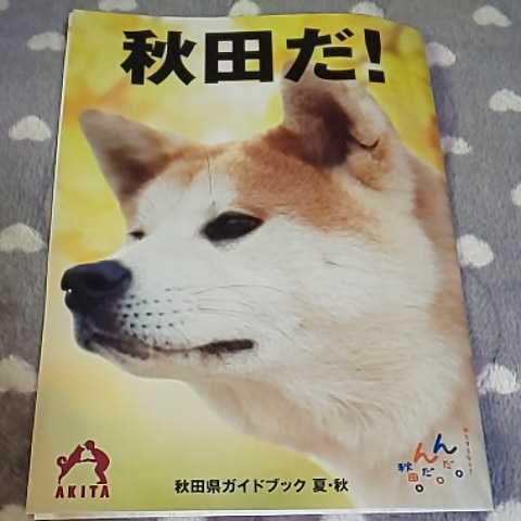 秋田だの値段と価格推移は 3件の売買情報を集計した秋田だの価格や価値の推移データを公開 秋田だの値段と価格推移は 3件の売買情報を集計した秋田だの価格や価値の推移データを公開